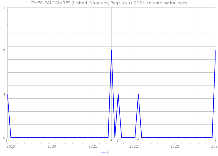 THEO PALOMARES (United Kingdom) Page visits 2024 