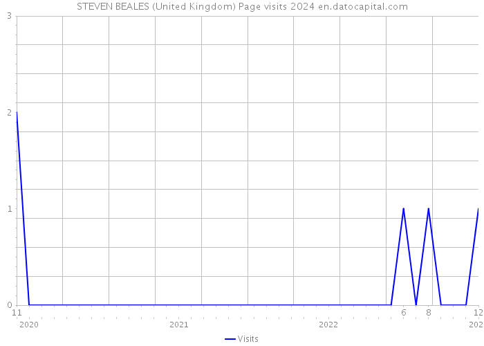 STEVEN BEALES (United Kingdom) Page visits 2024 