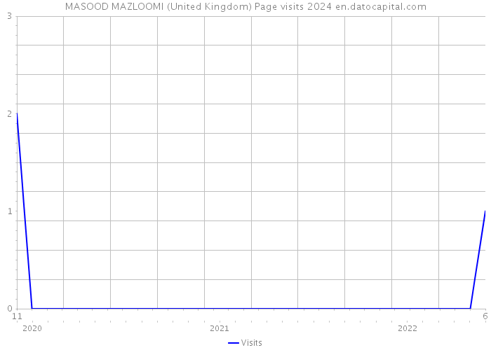 MASOOD MAZLOOMI (United Kingdom) Page visits 2024 