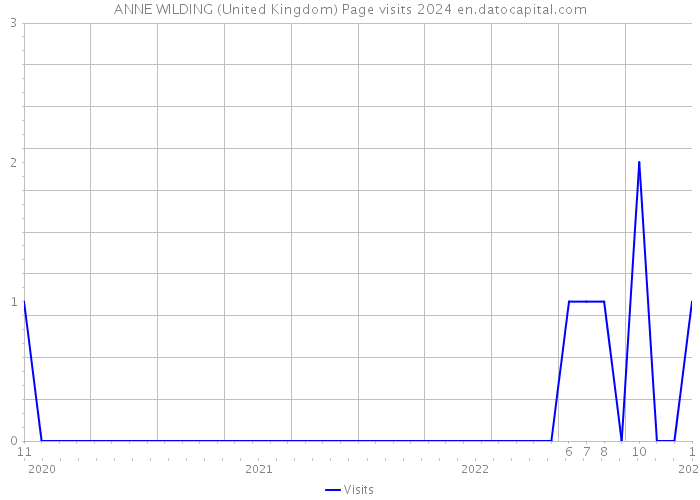 ANNE WILDING (United Kingdom) Page visits 2024 