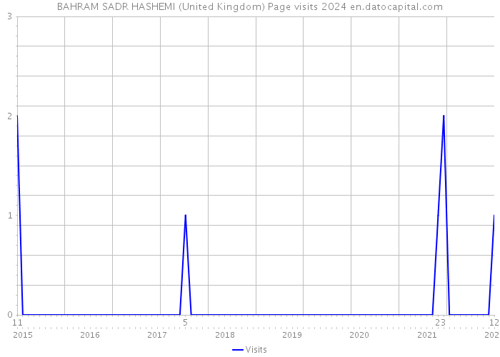 BAHRAM SADR HASHEMI (United Kingdom) Page visits 2024 