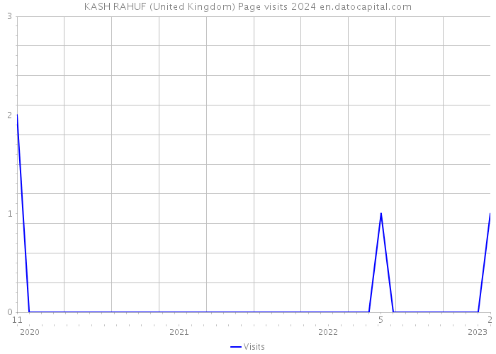 KASH RAHUF (United Kingdom) Page visits 2024 