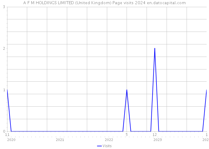 A F M HOLDINGS LIMITED (United Kingdom) Page visits 2024 