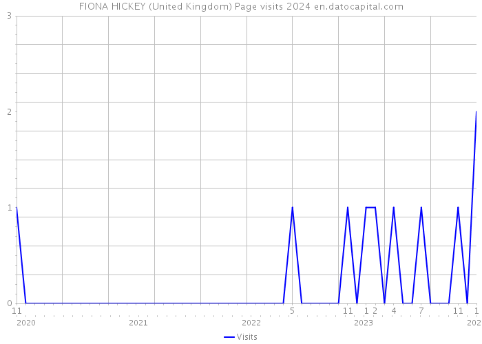 FIONA HICKEY (United Kingdom) Page visits 2024 