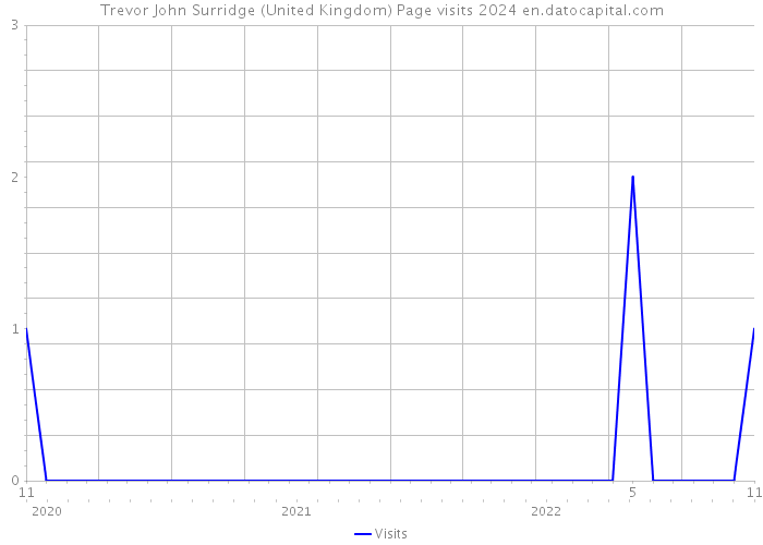 Trevor John Surridge (United Kingdom) Page visits 2024 