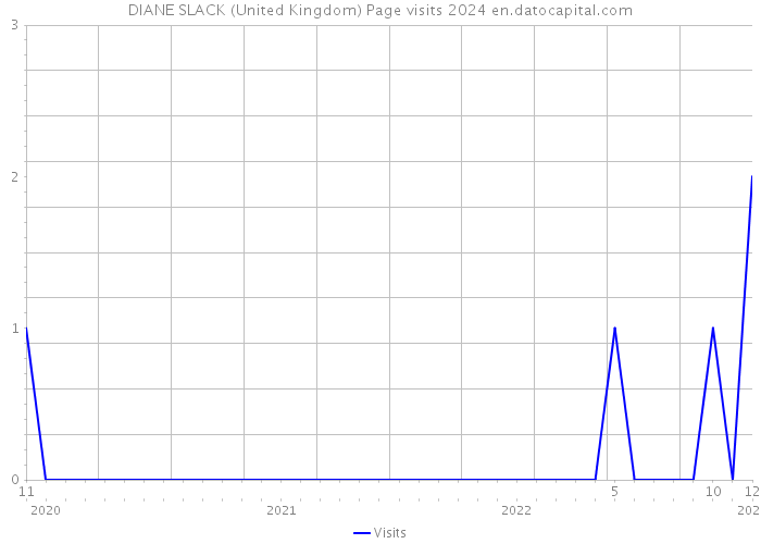 DIANE SLACK (United Kingdom) Page visits 2024 