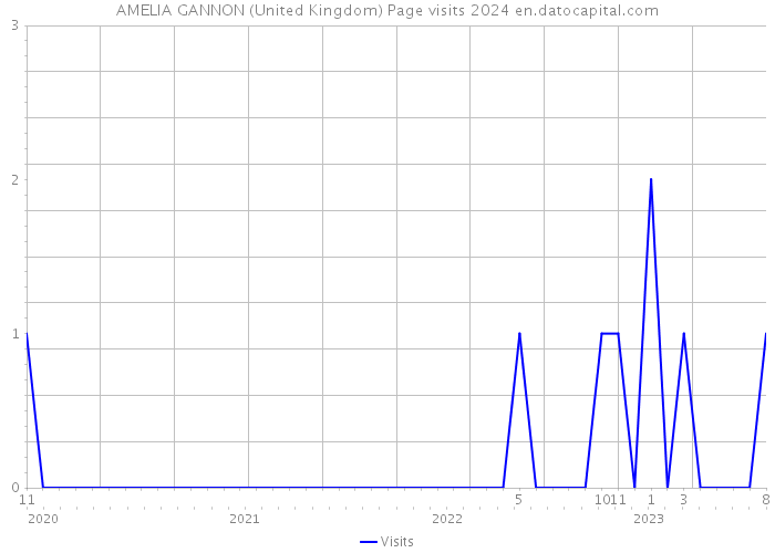 AMELIA GANNON (United Kingdom) Page visits 2024 