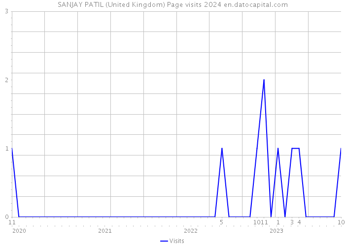 SANJAY PATIL (United Kingdom) Page visits 2024 