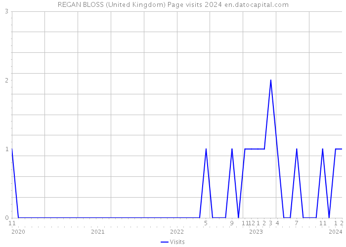 REGAN BLOSS (United Kingdom) Page visits 2024 
