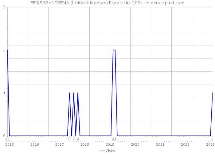 FEIKE BRANDSEMA (United Kingdom) Page visits 2024 