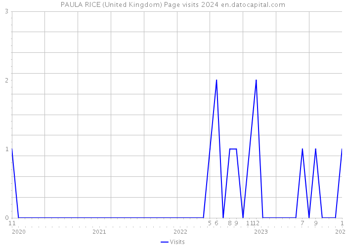 PAULA RICE (United Kingdom) Page visits 2024 
