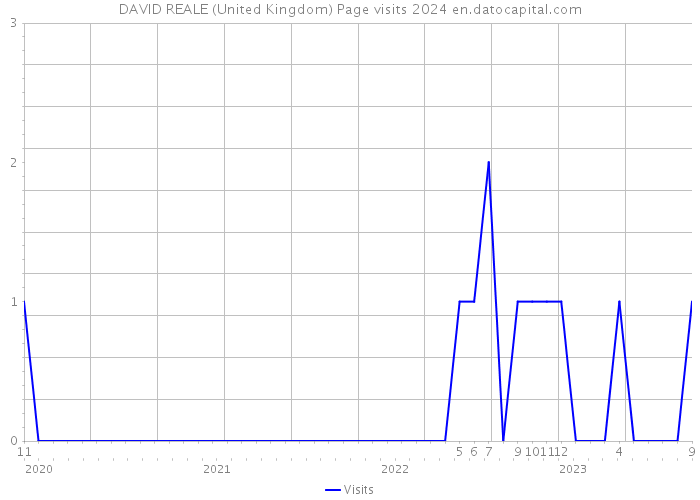 DAVID REALE (United Kingdom) Page visits 2024 