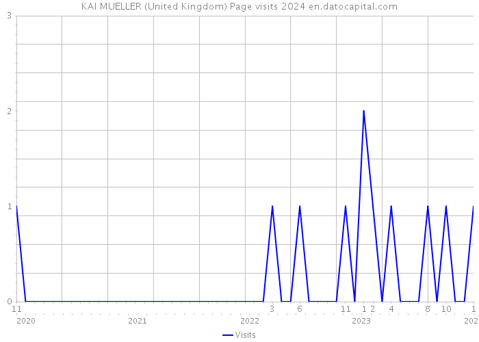 KAI MUELLER (United Kingdom) Page visits 2024 
