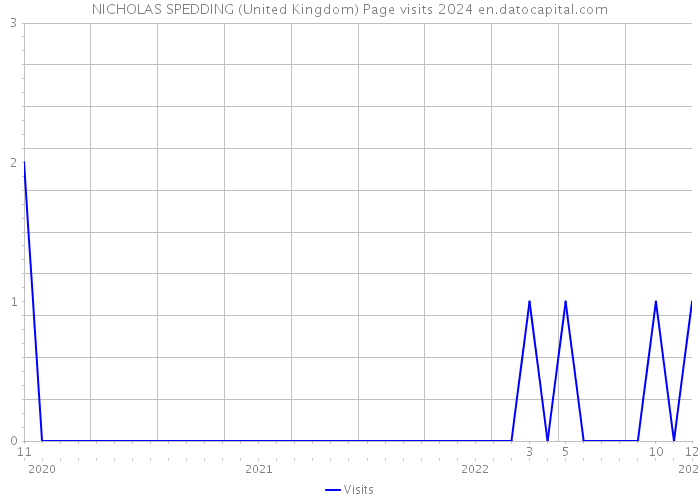 NICHOLAS SPEDDING (United Kingdom) Page visits 2024 
