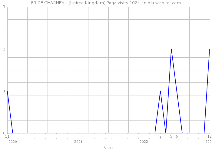 BRICE CHARNEAU (United Kingdom) Page visits 2024 