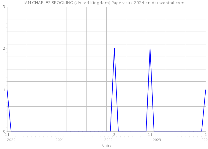 IAN CHARLES BROOKING (United Kingdom) Page visits 2024 