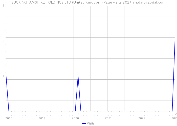 BUCKINGHAMSHIRE HOLDINGS LTD (United Kingdom) Page visits 2024 