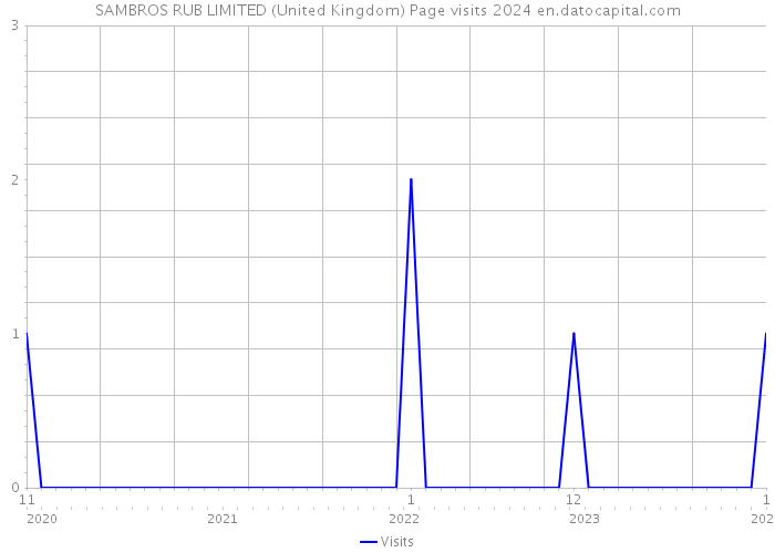 SAMBROS RUB LIMITED (United Kingdom) Page visits 2024 