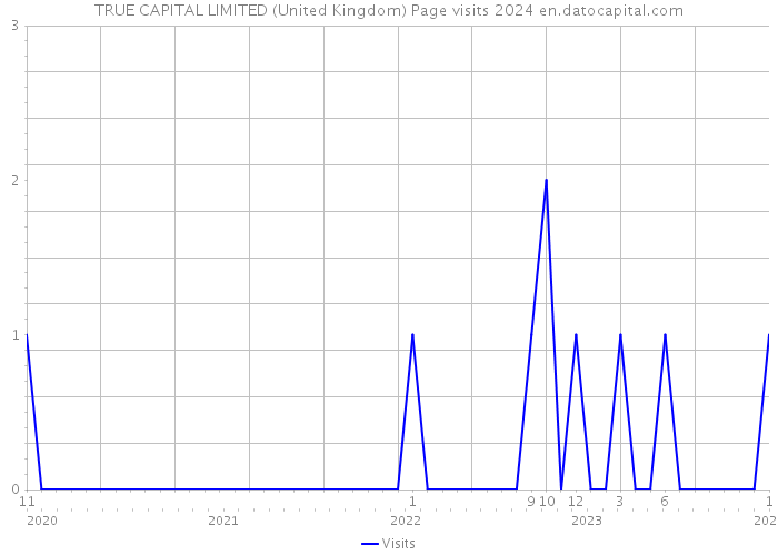 TRUE CAPITAL LIMITED (United Kingdom) Page visits 2024 