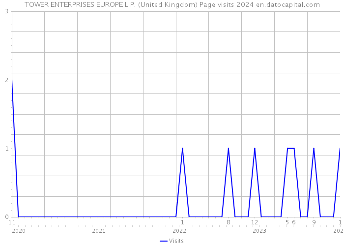 TOWER ENTERPRISES EUROPE L.P. (United Kingdom) Page visits 2024 