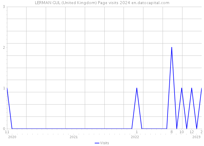 LERMAN GUL (United Kingdom) Page visits 2024 