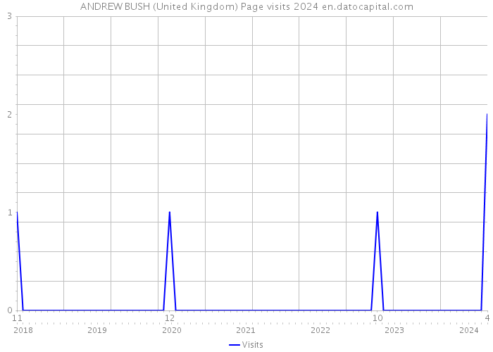 ANDREW BUSH (United Kingdom) Page visits 2024 