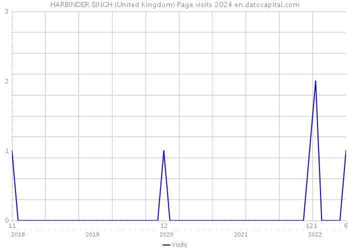 HARBINDER SINGH (United Kingdom) Page visits 2024 
