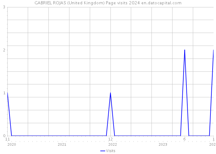 GABRIEL ROJAS (United Kingdom) Page visits 2024 