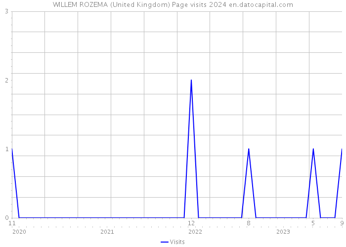 WILLEM ROZEMA (United Kingdom) Page visits 2024 
