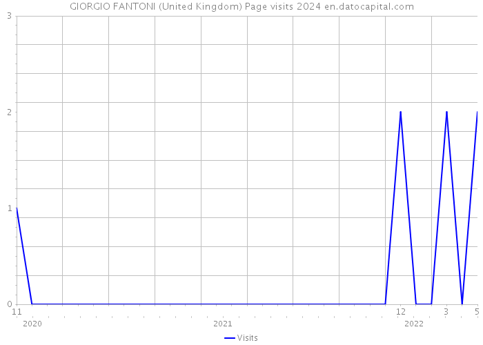 GIORGIO FANTONI (United Kingdom) Page visits 2024 