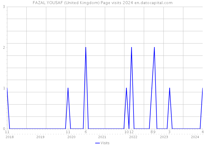 FAZAL YOUSAF (United Kingdom) Page visits 2024 