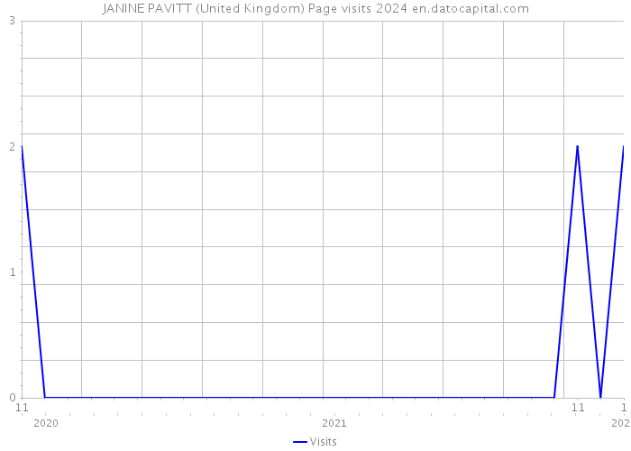 JANINE PAVITT (United Kingdom) Page visits 2024 