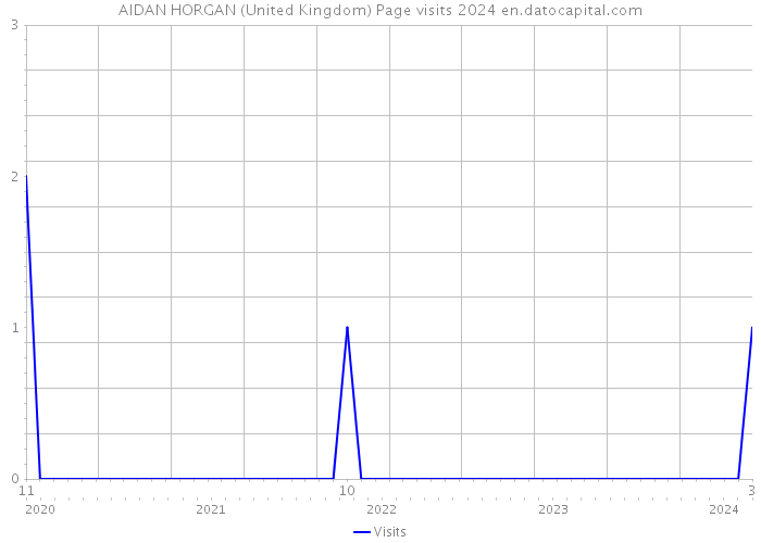 AIDAN HORGAN (United Kingdom) Page visits 2024 