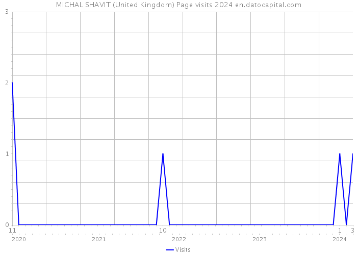 MICHAL SHAVIT (United Kingdom) Page visits 2024 