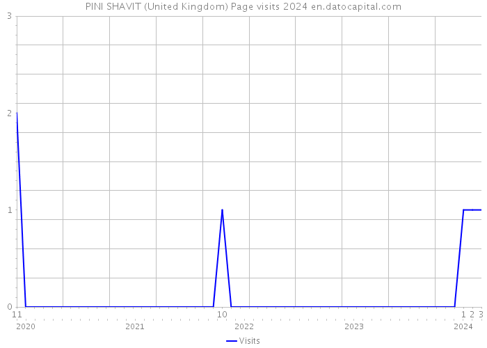 PINI SHAVIT (United Kingdom) Page visits 2024 