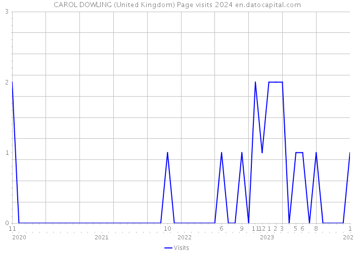 CAROL DOWLING (United Kingdom) Page visits 2024 