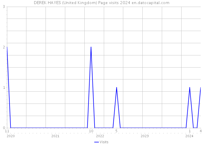 DEREK HAYES (United Kingdom) Page visits 2024 