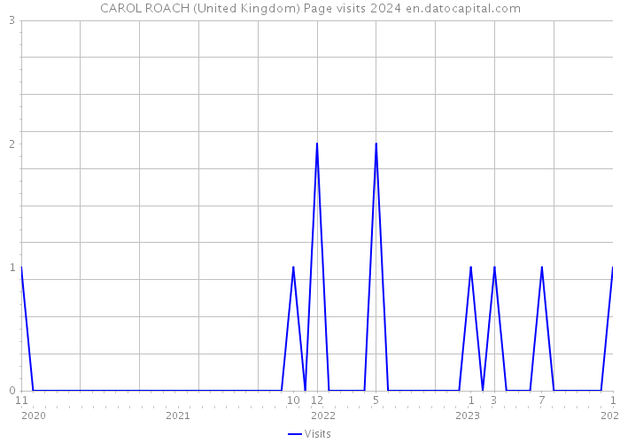CAROL ROACH (United Kingdom) Page visits 2024 