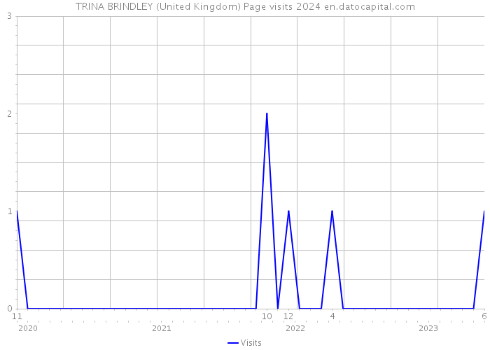 TRINA BRINDLEY (United Kingdom) Page visits 2024 