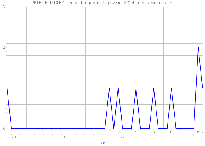 PETER BRINDLEY (United Kingdom) Page visits 2024 
