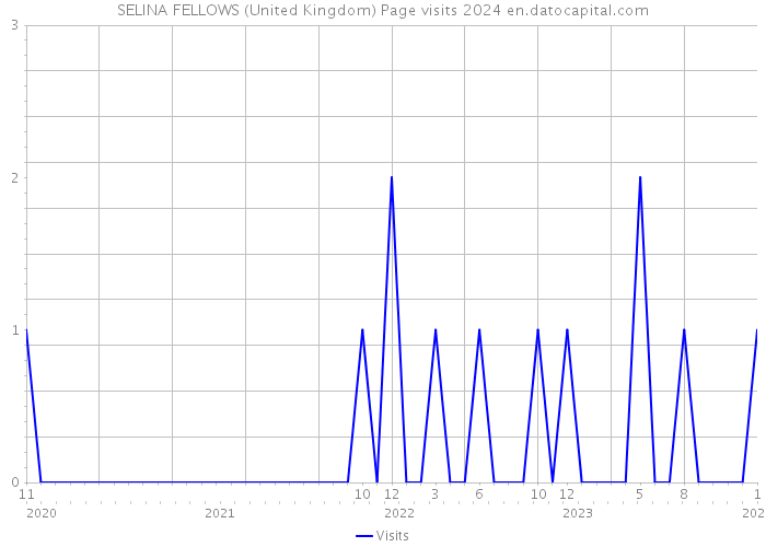 SELINA FELLOWS (United Kingdom) Page visits 2024 