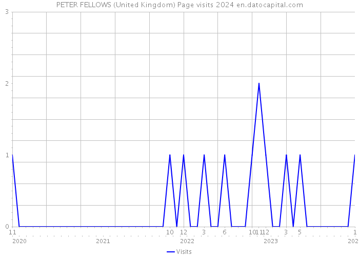 PETER FELLOWS (United Kingdom) Page visits 2024 