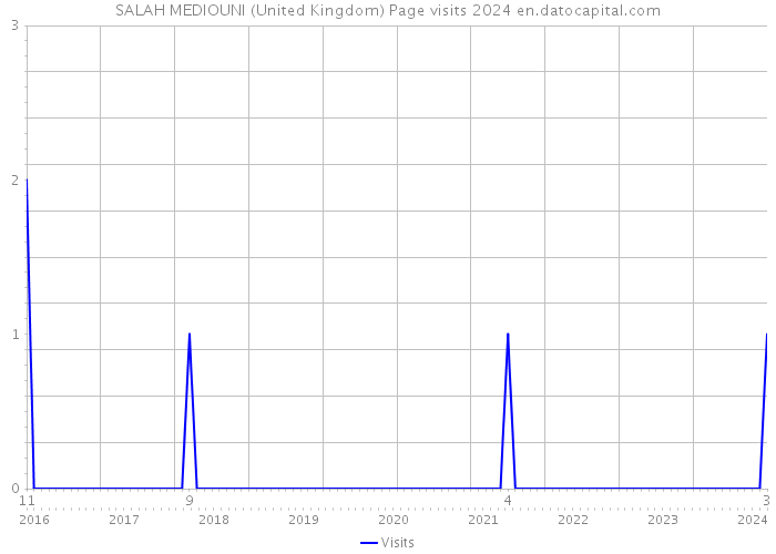 SALAH MEDIOUNI (United Kingdom) Page visits 2024 