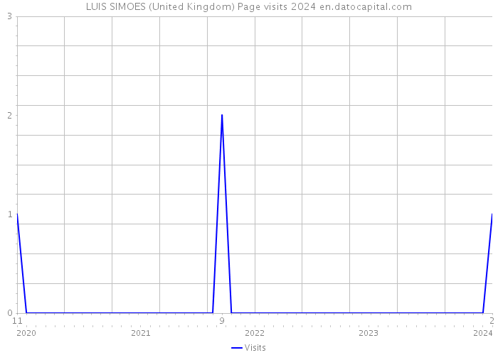 LUIS SIMOES (United Kingdom) Page visits 2024 
