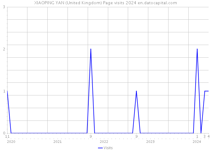XIAOPING YAN (United Kingdom) Page visits 2024 