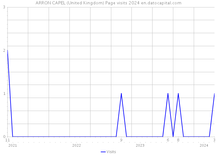 ARRON CAPEL (United Kingdom) Page visits 2024 
