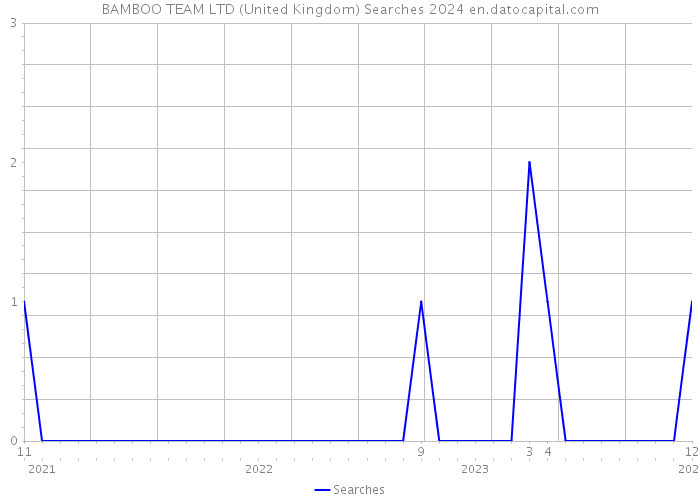 BAMBOO TEAM LTD (United Kingdom) Searches 2024 