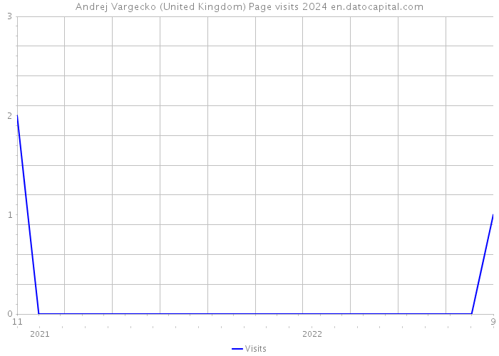 Andrej Vargecko (United Kingdom) Page visits 2024 