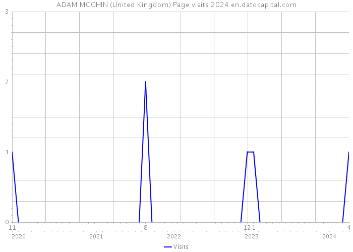 ADAM MCGHIN (United Kingdom) Page visits 2024 