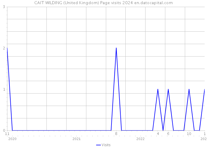 CAIT WILDING (United Kingdom) Page visits 2024 